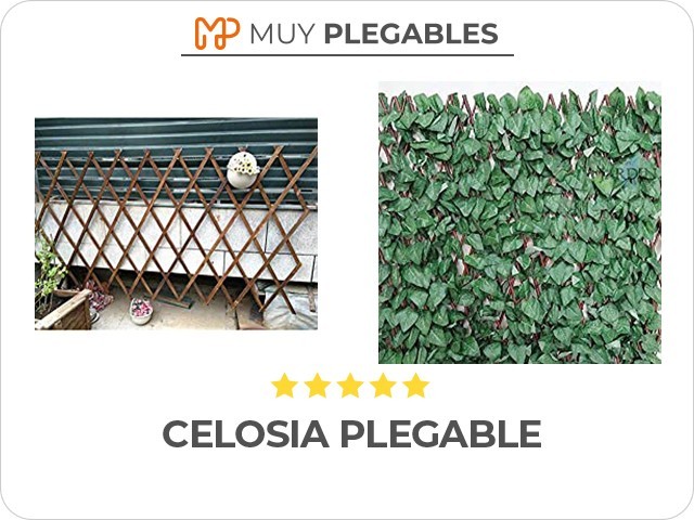 celosia plegable